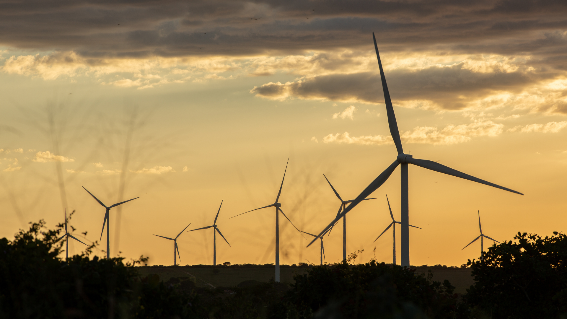 mercado de energia livre