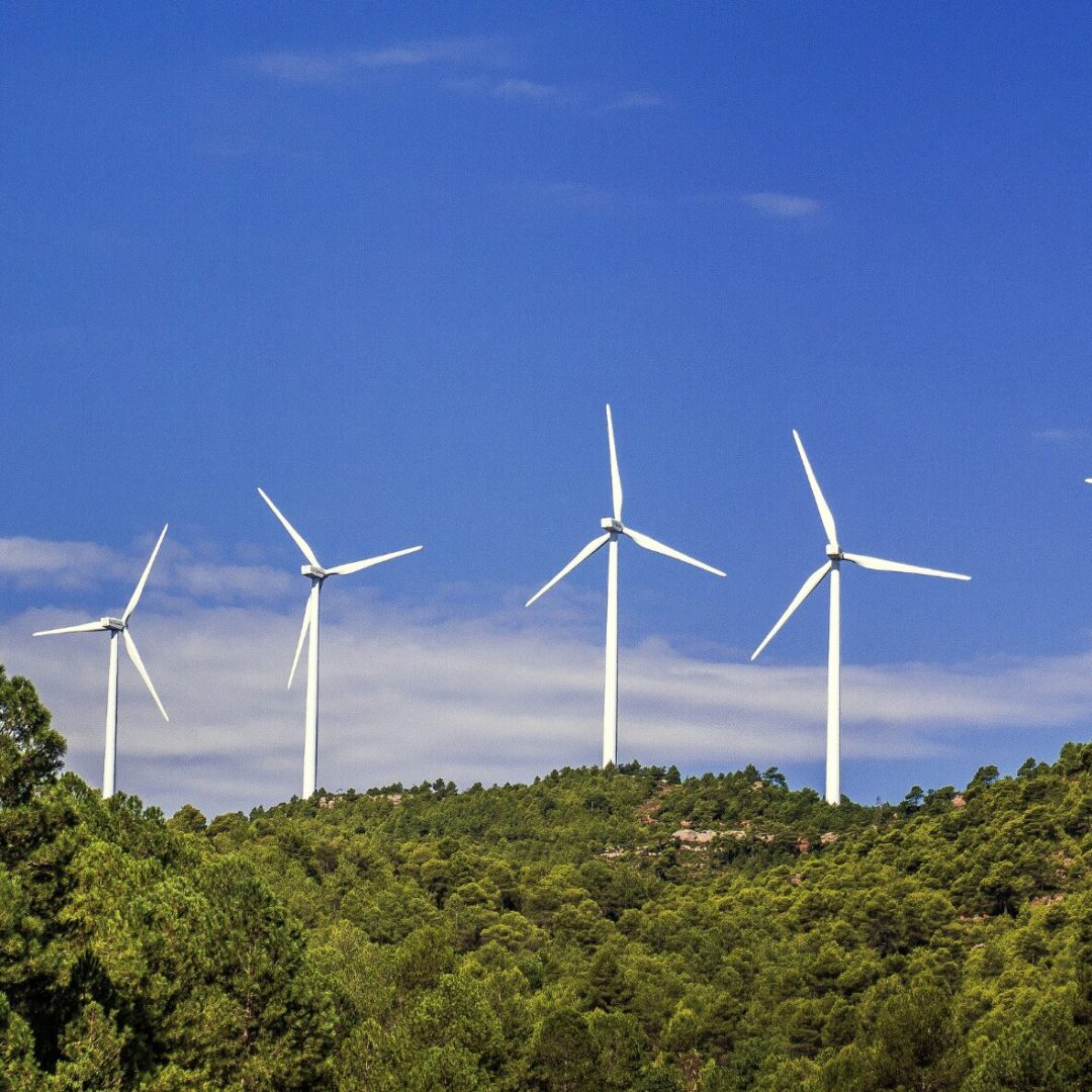 mercado livre de energia