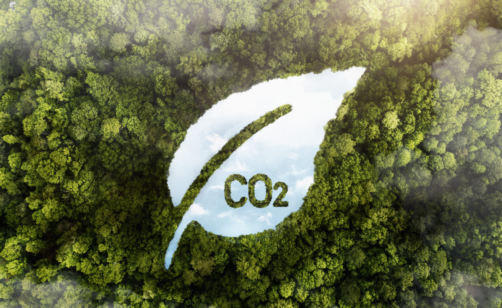 metas de carbono