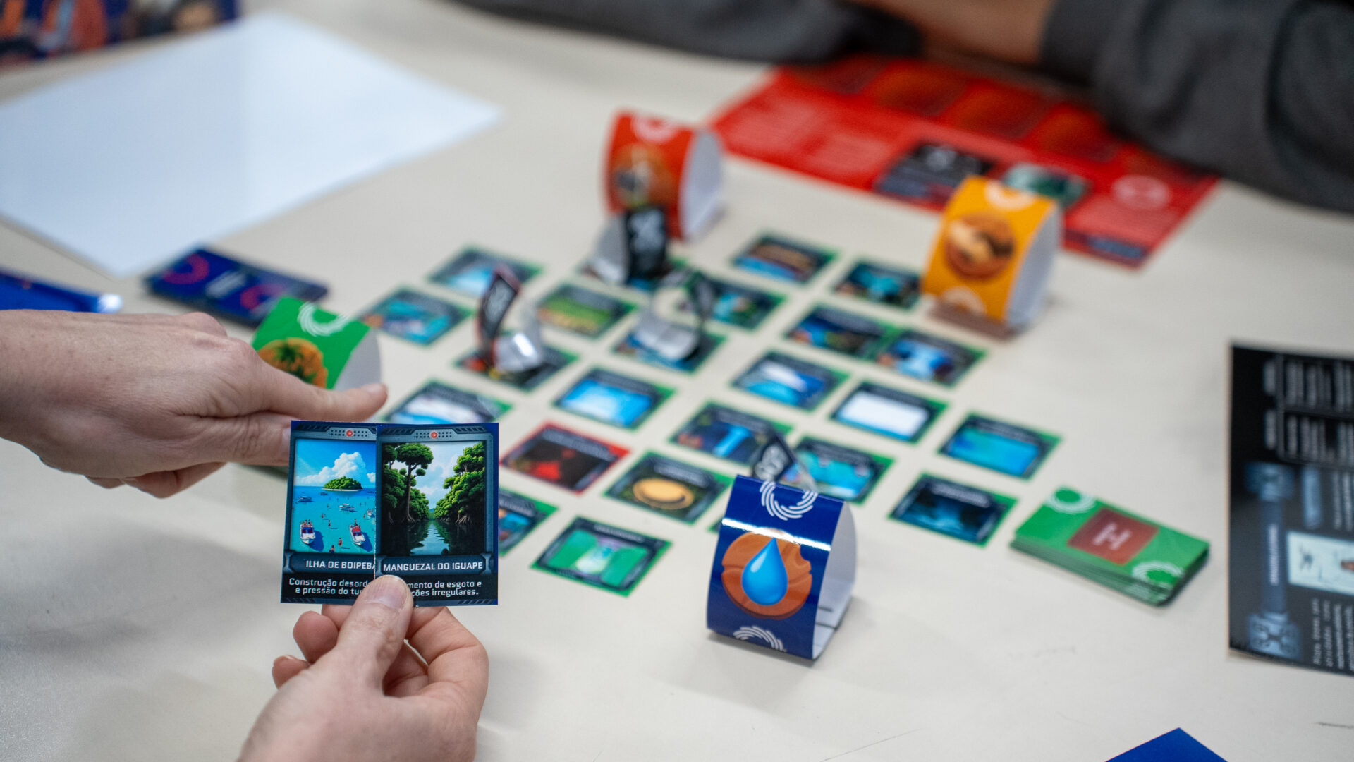 educação para a sustentabilidade