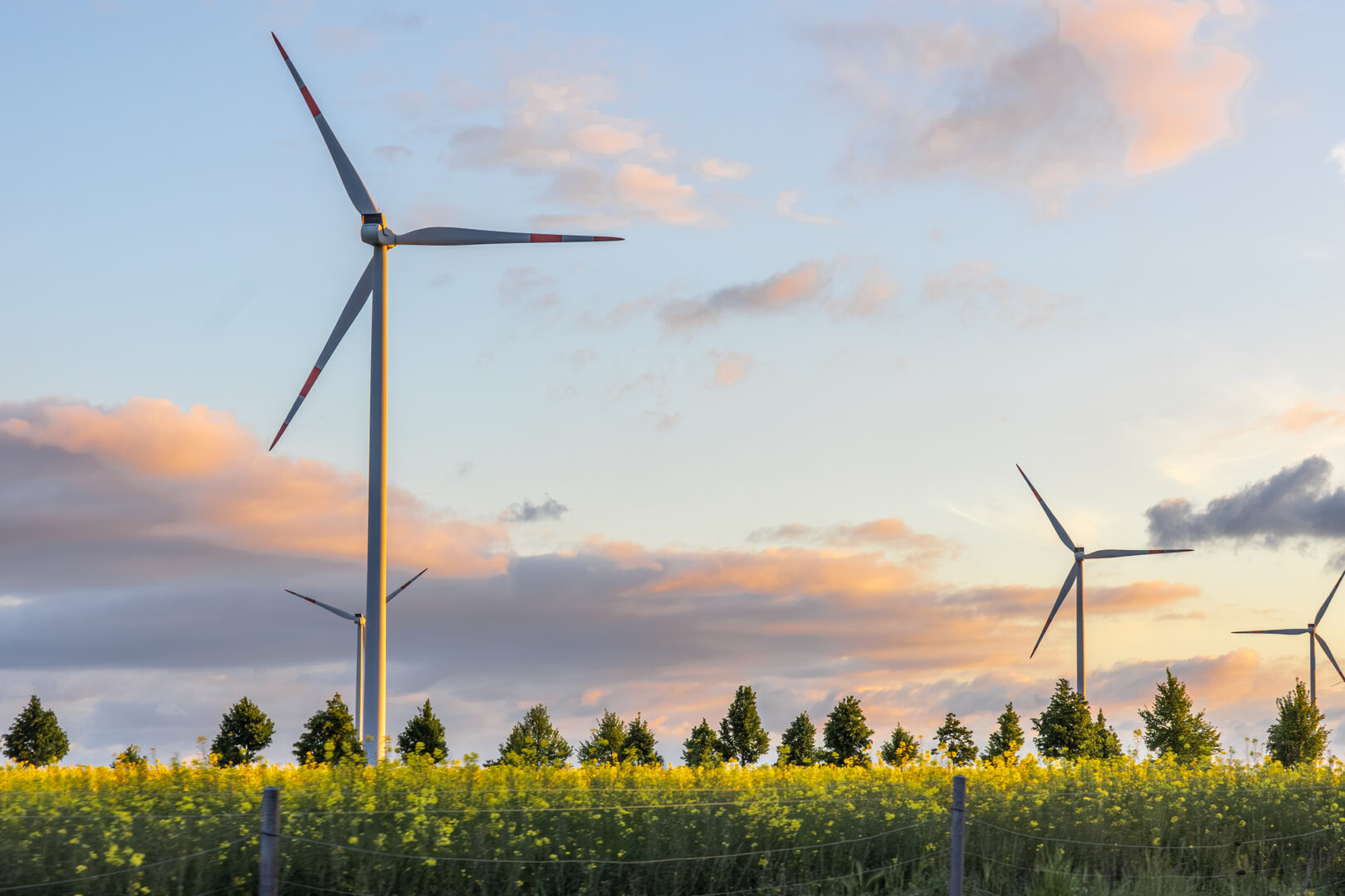 Mitos do Mercado Livre de Energia